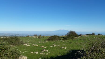 Panoramahügel in goldenem Abendlicht