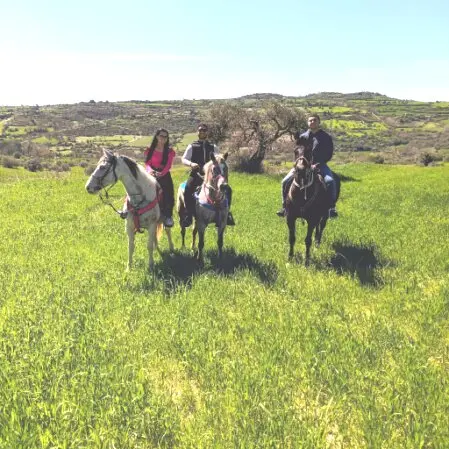 Geführte Reittour durch die Hügellandschaft der Iblei bei Sonnenuntergang